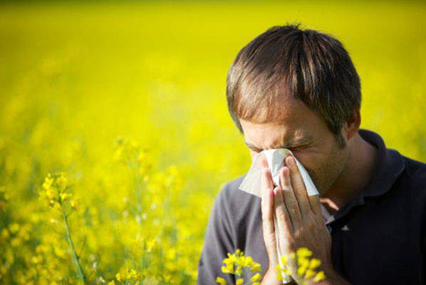 Bahorgi allergiyadan xalos bo‘lishning 7 usuli