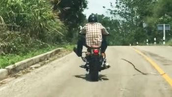Ilon yo‘lda harakatlanayotgan motosiklchiga hujum qildi (Video)