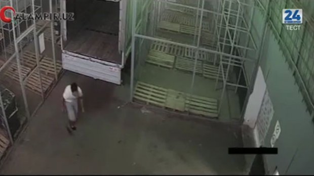 Видео: кузатув камераси борлигидан бехабар ходимлар жиноят устида қўлга олинди