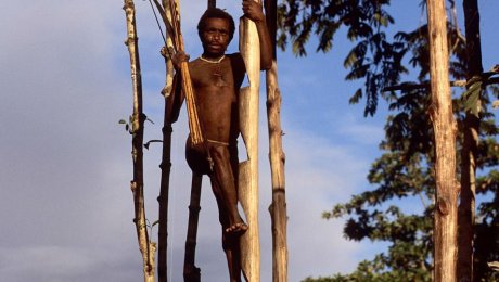 Папуа (Индонезия) да ажабтовур қабила — одамхўрлар қабиласи яшайди…
