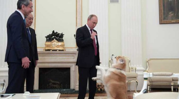 Россияда Президент сайлови яқин: Путин қарорини эълон қилди