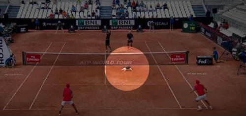 Теннисни хуш кўрувчи мушук турнирни тўхтатди (видео)