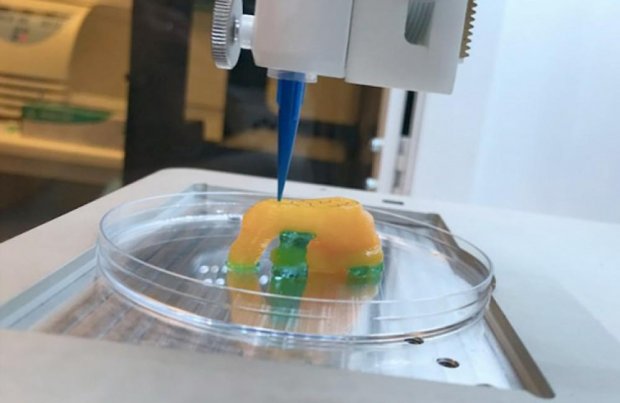 Одам тана аъзоларини “нашр” этувчи 3D-принтер ишлаб чиқилди