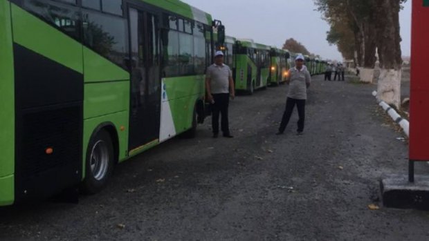 Yangi avtobuslar Samarqanddan Toshkentga qarab yo‘lga chiqdi