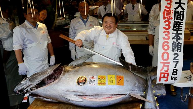 Японияда тунец балиғи рекорд нархга сотилди (видео)