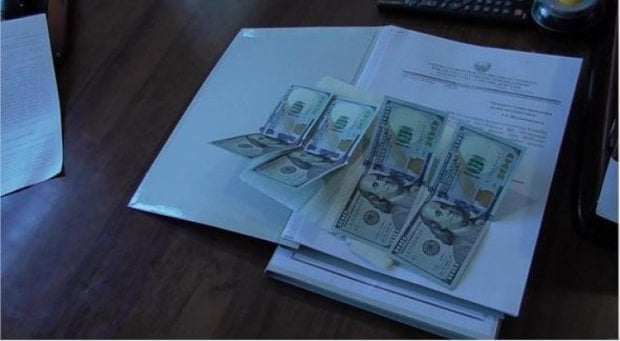 Xorazm viloyati Gurlan tuman hokimi yordamchisi pora bilan qo‘lga olindi