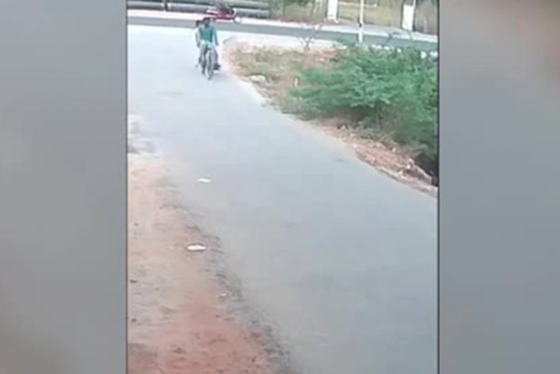 Кўзойнакли илон велосипедда кетаётган йўловчиларга ташланди (видео)