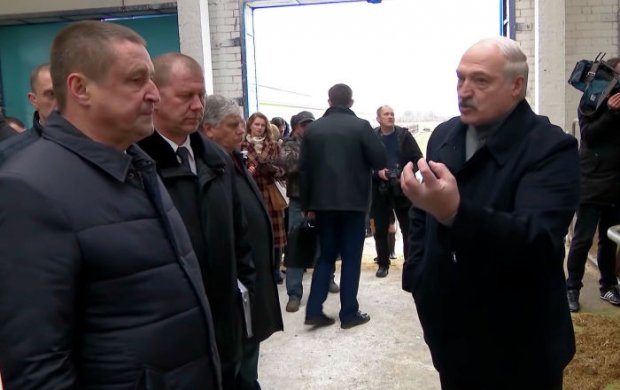 Лукашенко фермани кўриб бош вазир ўринбосари, вазир ва губернаторни ишдан ҳайдади (видео)