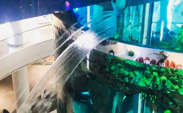 Moskvadagi savdo markazida hajmi 1 mln litrli akvarium darz ketdi