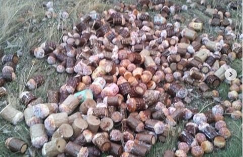 Qozog‘istonda bayramdan so‘ng «Pasxa nonlari uyumi» topildi