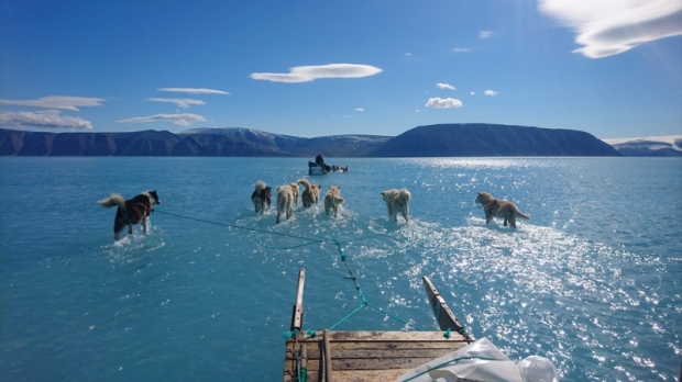 Grenlandiya muzliklari xavotirli tarzda erimoqda (video)