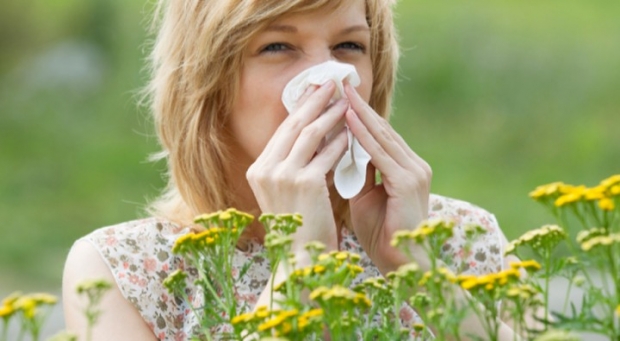 Allergiyadan qanday xalos bo‘lish mumkin?