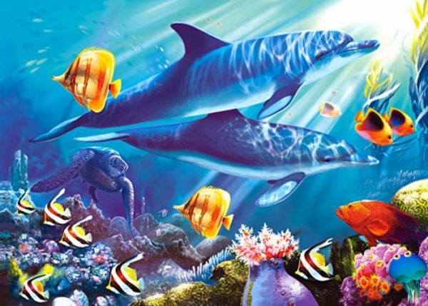 Okean faunasi haqida siz bilmagan 10ta fakt