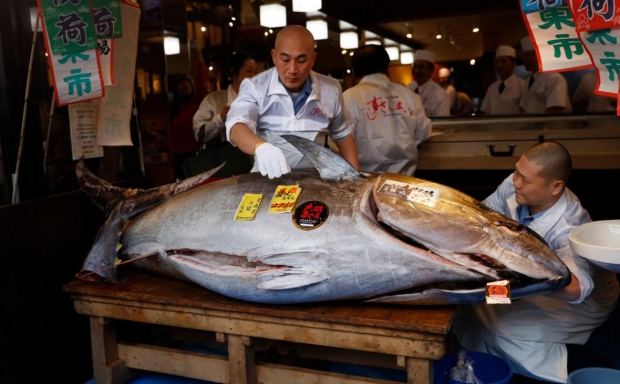 Японияда тунец балиғи 1,8 млн долларга сотилди
