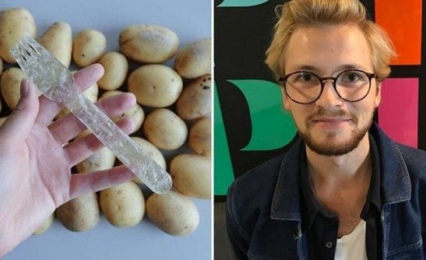 Швецияда картошкадан экологик тоза идиш ясалмоқда