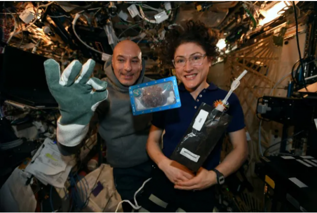 Astronavtlar birinchi marta kosmosda pechene pishirdi