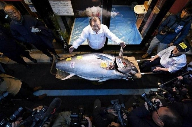 Tokioda bir dona baliq 1.8 million dollarga sotildi