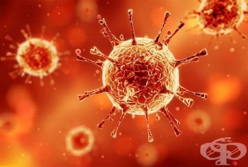 Birinchi marta koronavirus onadan homilaga yuqishi qayd etildi