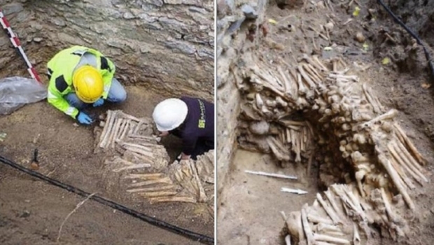Belgiyada arxeologlar inson bosh suyaklaridan yasalgan devorlarni topishdi