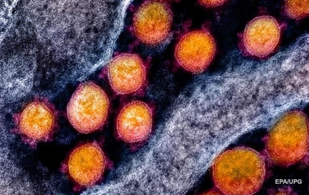 Koronavirus mutatsiyaga uchradi: biri ikkinchisidan zararliroq va ko‘proq uchramoqda
