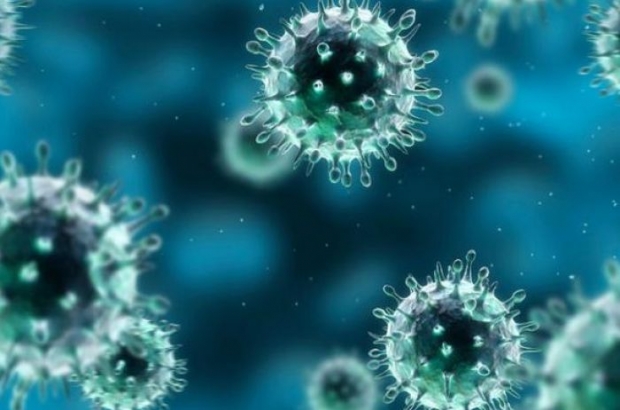 Koronavirus bo‘yicha shifokor maslahatlari va alomatlari haqida