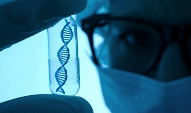 DNK ekspertizasini o‘tkazish narxlarini bilasizmi?