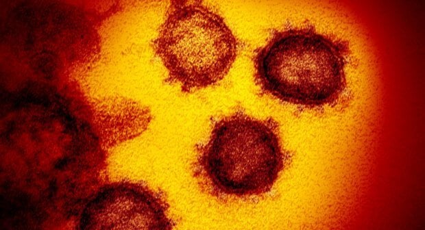 Fransiyalik olimlar "Tojdor virus" qanday haroratda nobud bo‘lishini aniqladi