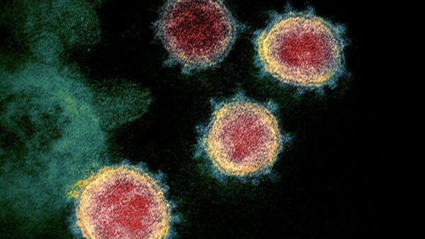 Koronavirus epidemiyasining ikkinchi to‘lqini qanday kechadi?