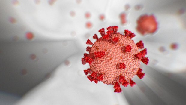 Virusolog: «Koronavirusning narsalar yuzasi orqali tarqalishi isbotlanmagan»