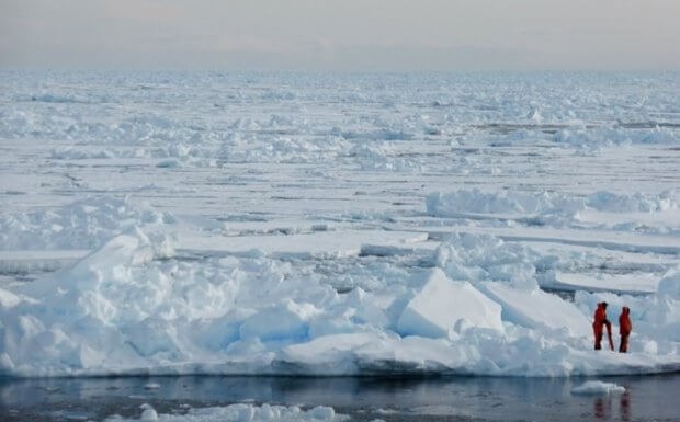 Арктика музликлари қачон тўлиқ йўқолиб кетиши маълум қилинди