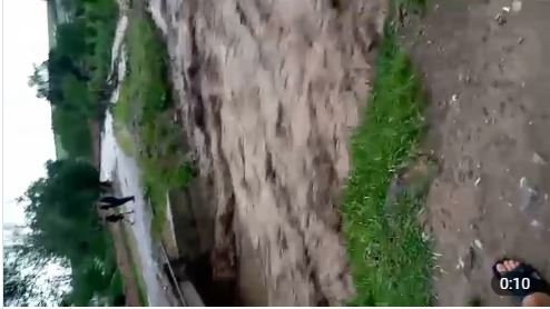 Sharof Rashidov tumanida sel qoramollarni oqizib ketdi (video)