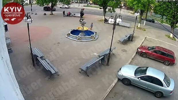 Opa-singil selfiga tushaman deb favvorani vayron qildi (Video)