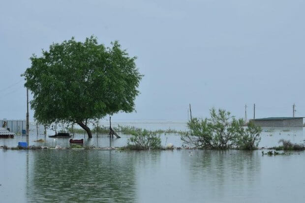 Sardobadan hikoyalar