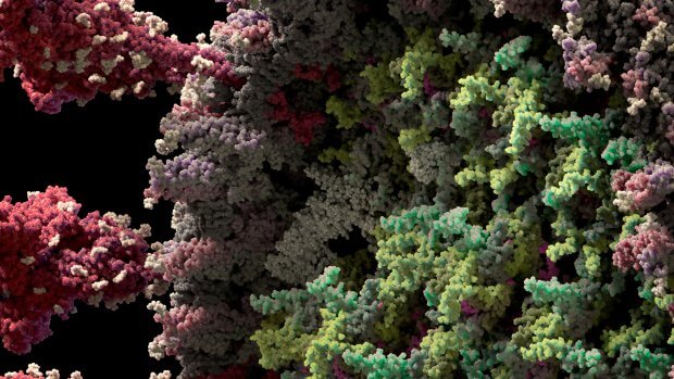 Koronavirusning eng batafsil 3D modeli yaratildi (video)
