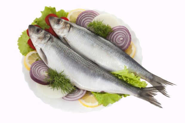 Nemis shifokorlari baliq bilan mukofotlanadigan bo‘lishdi