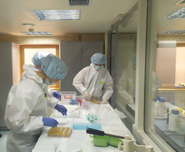 O‘zbek olimlari yaratgan koronavirusni 5-6 soatda aniqlovchi test tizimi ommaviy ishlab chiqarilmoqda