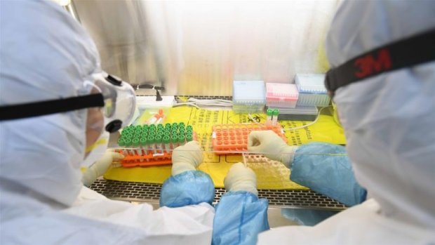 Germaniyalik ekspertlar koronavirusga qarshi kurashda hamkorlik qilish uchun O‘zbekistonga kelmoqda