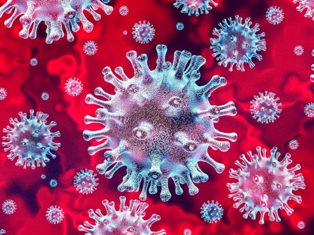 Mutaxassis koronavirus haqidagi mish-mishlarga oydinlik kiritdi