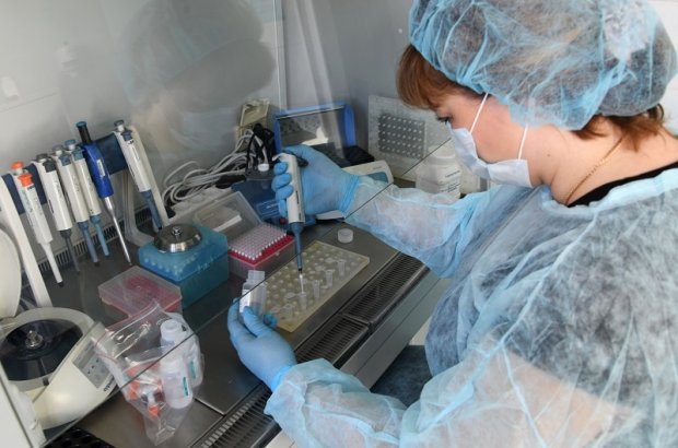 Rossiyada koronavirusning 80dan ko‘proq mutatsiyasi aniqlandi