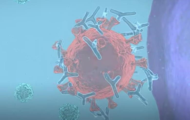 Олимлар коронавирусга қарши вакциналар тури тасвирланган видео билан бўлишди