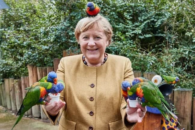 Angela Merkel Qushlar parkiga tashrif buyurib, to‘tiqushlarni ovqatlantirdi