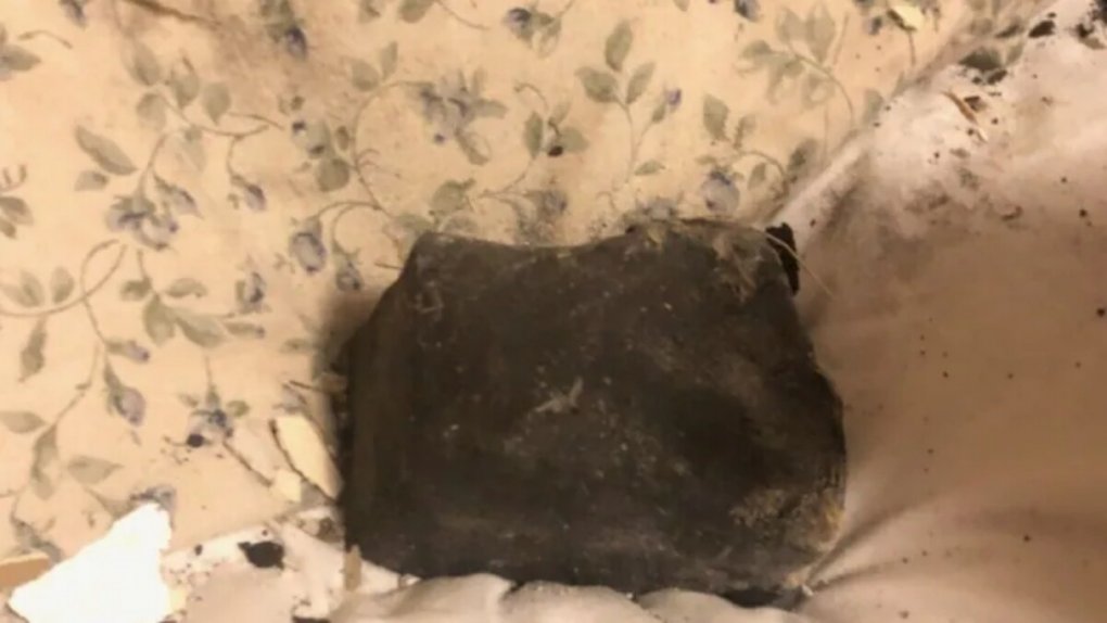 Kanadada meteorit uy egasining karavotidagi yostiqqa kelib tushdi