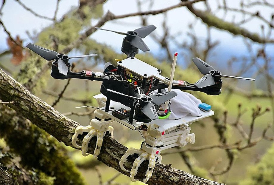 Olimlar panjali dron yaratishdi (video)