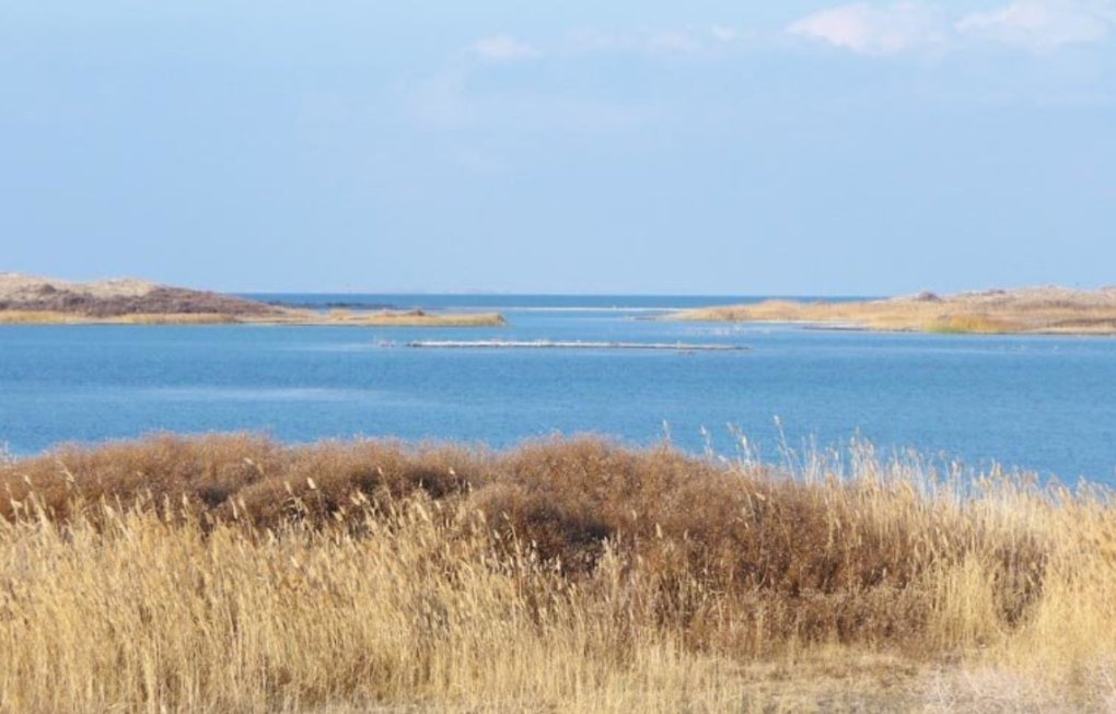 Aydar-Arnasoy ko‘llar tizimi ishonchli boshqaruvga beriladi