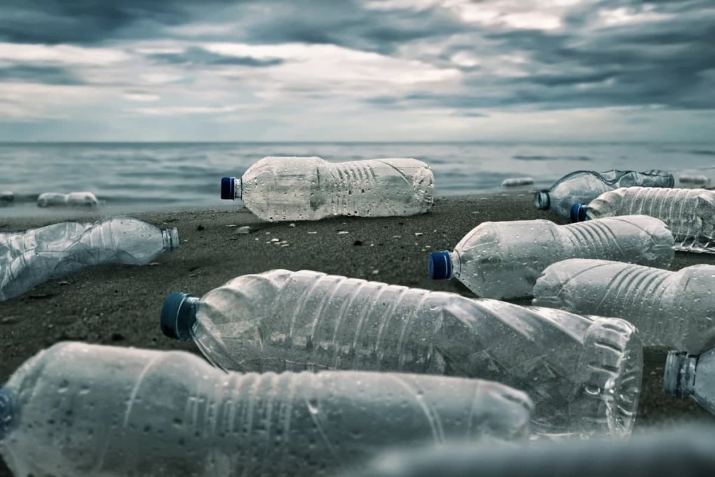 Plastik chiqindilarni «yeydigan» mikroorganizmlar insoniyatga yordamga kelmoqda