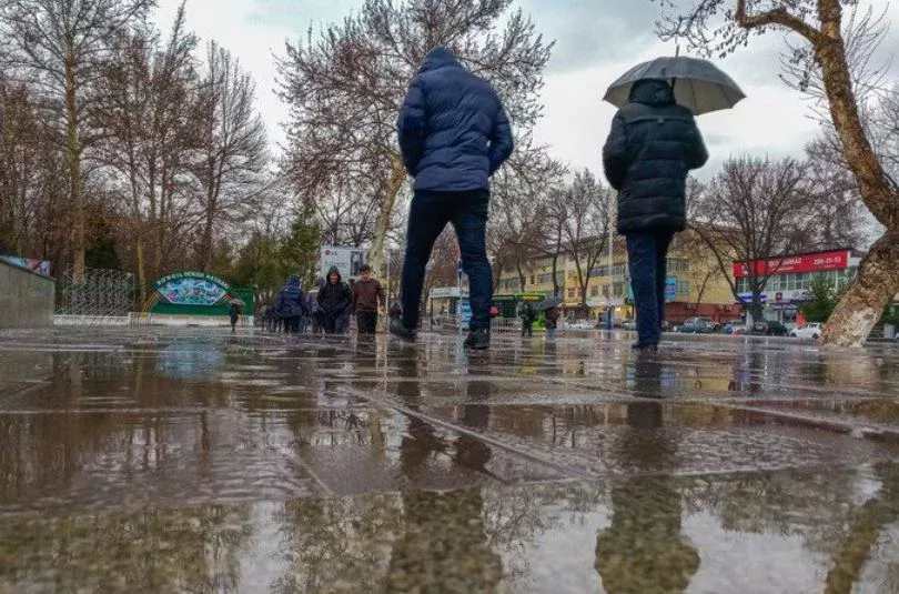 O‘zbekistonning aksariyat hududlarida 5 mart kuni yomg‘ir yog‘adi