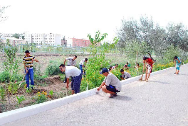 Qaysi hududlarda hashar o‘tkazish mumkin emas?