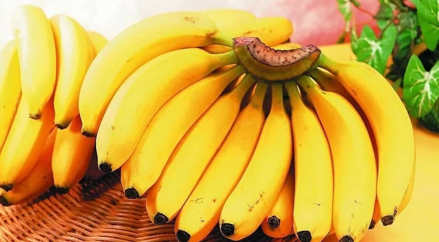 Bananlarni uzoq vaqt yangidek saqlash uchun nimalarga e’tibor berish kerak?