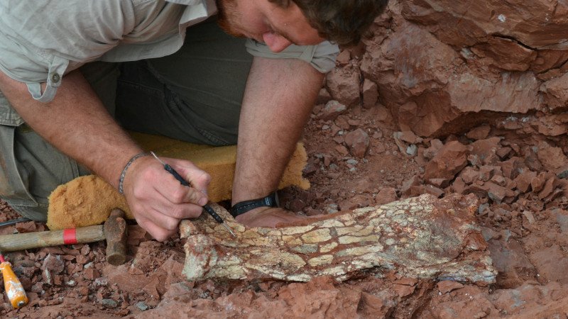 Argentinada avtobus kattaligidagi uchar dinozavr qoldiqlari topildi