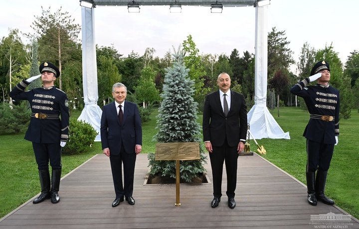 Shavkat Mirziyoyev va Ilhom Aliyev ko‘chat o‘tqazdilar (foto)